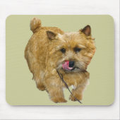 Norwich Terrier Mousepad (Vorne)
