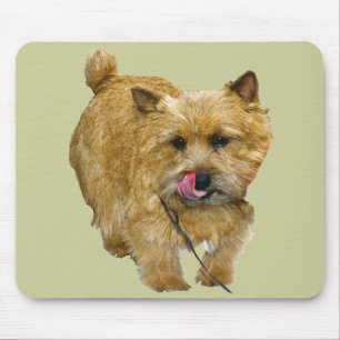 Norwich Terrier Mousepad