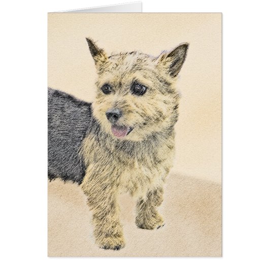 Norwich Terrier Painting - Niedliche Original Dog (Vorne)