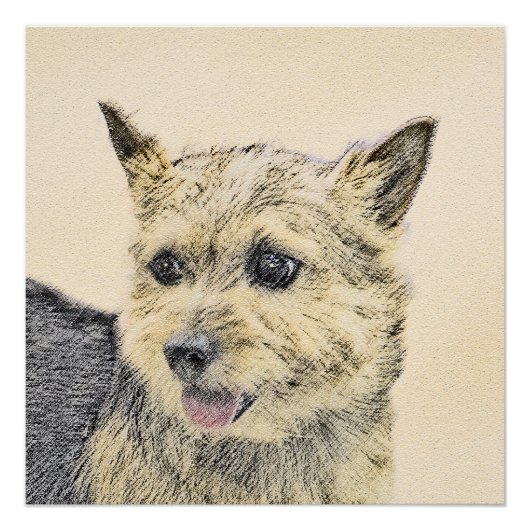Norwich Terrier Painting - Niedliche Original Dog  Poster (Vorderseite)