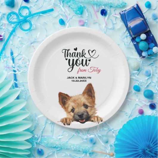 Norwich Terrier Pappteller (Party)