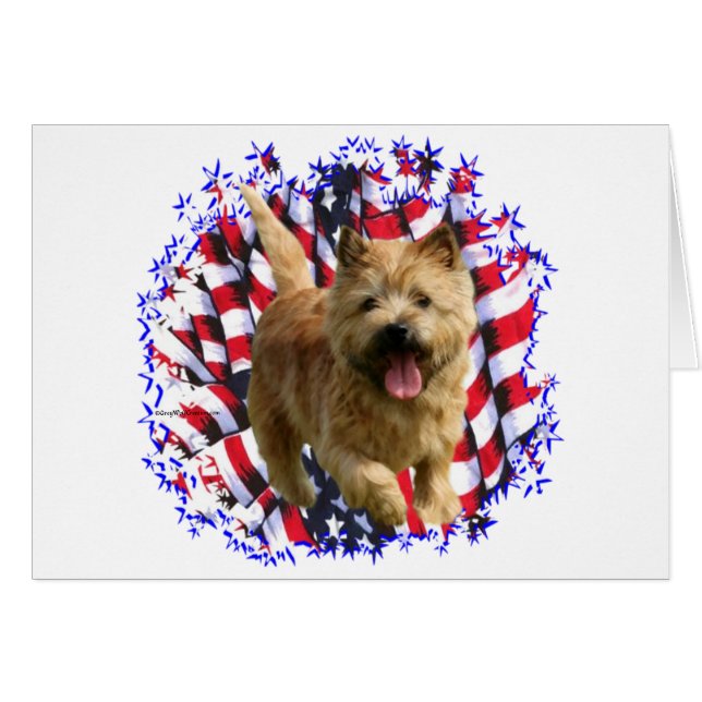 Norwich Terrier Patriot (Vorderseite (Horizontal))