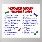 NORWICH TERRIER PL2 POSTER (Vorne)
