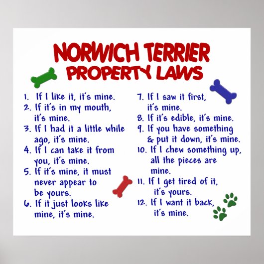 NORWICH TERRIER PL2 POSTER (Vorne)