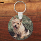 Norwich Terrier Schlüsselanhänger (Vorderseite)