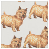 Norwich Terrier Stoff (Nahaufnahme)