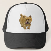 Norwich Terrier Truckerkappe (Vorderseite)