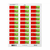 Norwich Terrier Weihnachtsgeschenke Tags Red Green (Vorne)