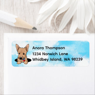 Norwich Terrier Welpe