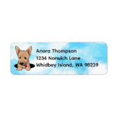 Norwich Terrier Welpe (Vorne)