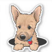 Norwich Terrier Welpe Aufkleber (Vorderseite)