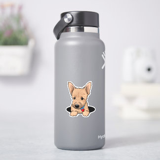 Norwich Terrier Welpe Aufkleber