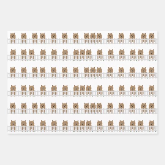 Norwich Terrier Wrapping Paper Sheets Geschenkpapier Set (Vorderseite 3)