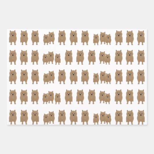 Norwich Terriers Wrapping Paper Sheets Geschenkpapier Set (Vorderseite 2)