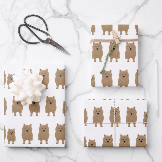 Norwich Terriers Wrapping Paper Sheets Geschenkpapier Set (Vorderseite)