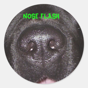 NOSE FLASH RUNDER AUFKLEBER
