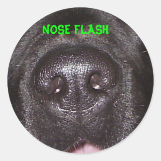 NOSE FLASH RUNDER AUFKLEBER
