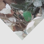 Nosenmusselpapier Seidenpapier (Ausschnitt)