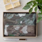 Nosenmusselpapier Seidenpapier (Geschenk)