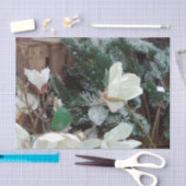 Nosenmusselpapier Seidenpapier (Handwerk)