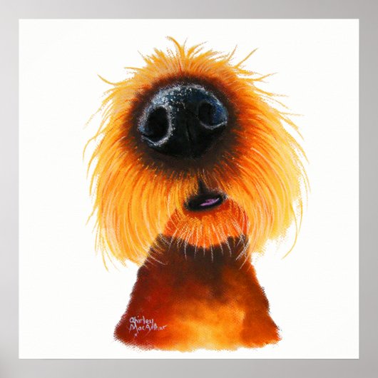 Nosey Dog ' SMELLS LiKe SuNSHiNe ' von Shirley Mac Poster (Vorne)