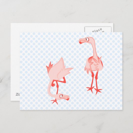 Nosey flamingo postkarte (Vorne/Hinten)