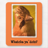 Nosey Jay Bird Mousepad (Vorne)