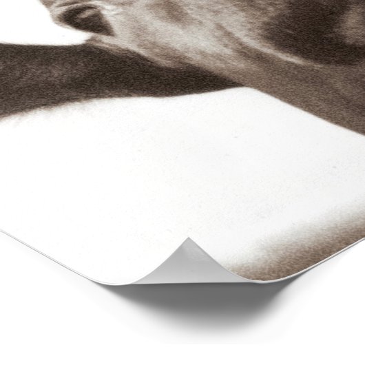 Nosey Kuh Poster (Ecke)