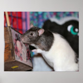 Nosey Poster (Vorne)