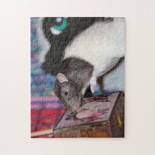 Nosey rat puzzle (Vertikal)