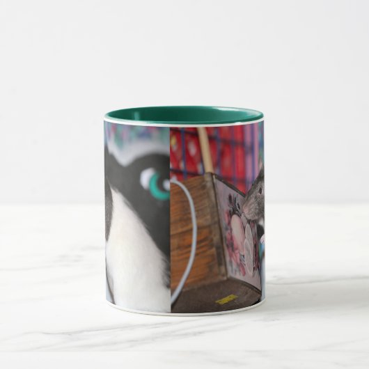 Nosey Tasse (Zentrum)