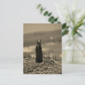 Nosferatu Postkarte (Stehend Vorderseite)