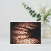 Nosferatu Postkarte (Stehend Vorderseite)