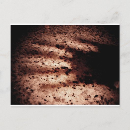 Nosferatu Postkarte (Vorderseite)