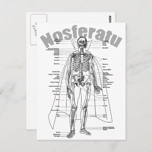 Nosferatu Postkarte (Vorne/Hinten)