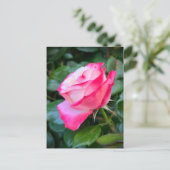 Nostalgie Rose Nostalgie Postkarte (Stehend Vorderseite)