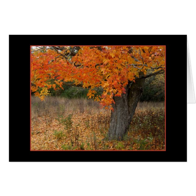 Nostalgische Bernsterkarte (Vorderseite (Horizontal))