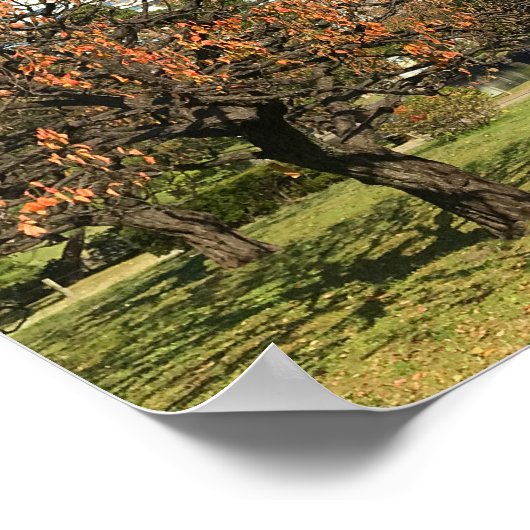 Nostalgischer Herbst-Himmel Poster (Ecke)