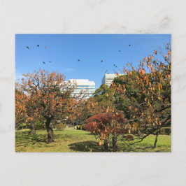 Nostalgischer Herbst-Himmel Postkarte