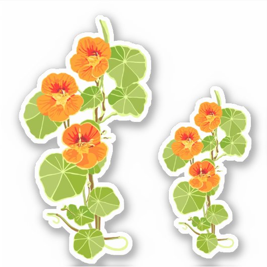 Nostalgisches Nasturtium Aufkleber (Vorderseite)