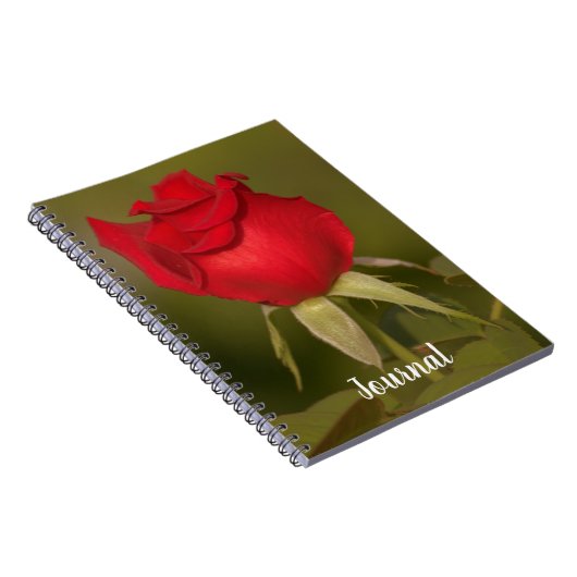Nostalgisches Rote Rose Journal Notizblock (Rechte Seite)