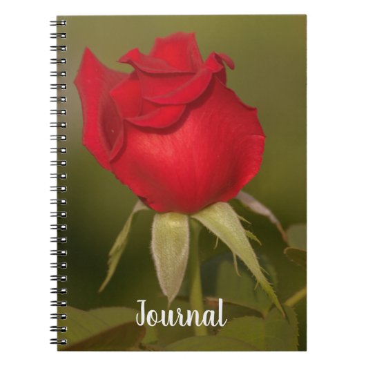Nostalgisches Rote Rose Journal Notizblock (Vorderseite)