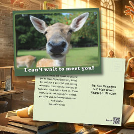 Nosy Deer kann nicht warten, dich zu treffen Lehre Postkarte