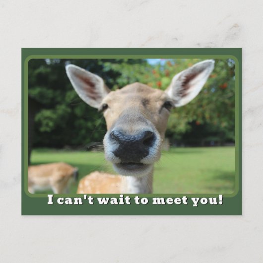 Nosy Deer kann nicht warten, dich zu treffen Lehre Postkarte (Vorderseite)