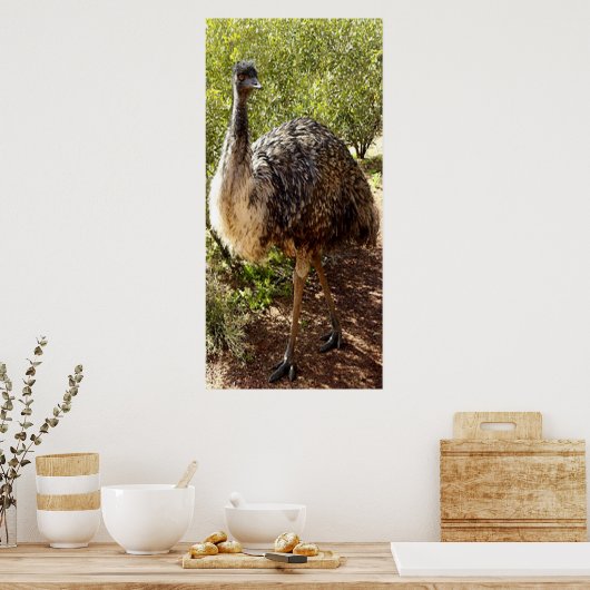 Nosy Emu Poster (Küche)