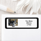 Nosy Goat - Ausblick (Insitu)