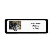 Nosy Goat - Ausblick (Vorne)