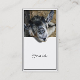 Nosy Goat - Ausblick Visitenkarte