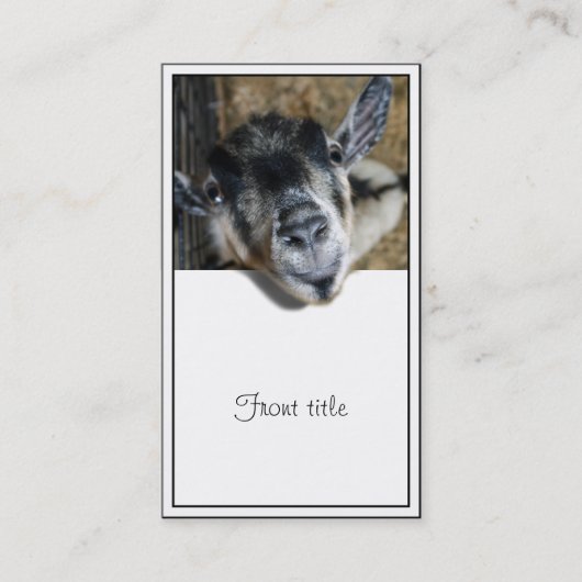 Nosy Goat - Ausblick Visitenkarte (Vorderseite)