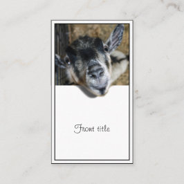 Nosy Goat - Ausblick Visitenkarte